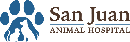 San Juan Animal Clinic